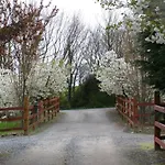 Panzió Killurin Ballyvolane