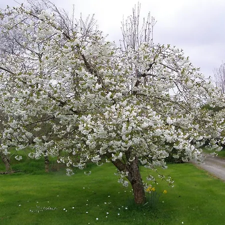 Killurin فندق مبيت وإفطار 4*