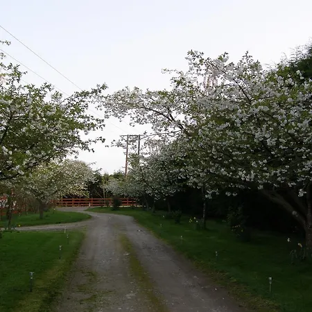 فندق مبيت وإفطار Killurin