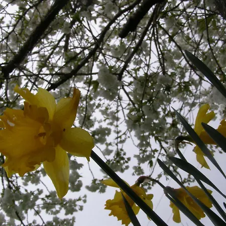 فندق مبيت وإفطار Killurin