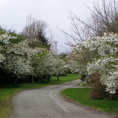 Killurin Lodge
