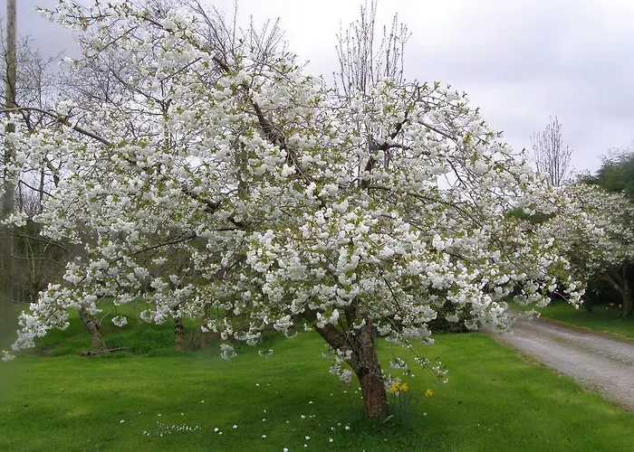 Killurin Bed & Breakfast 4*