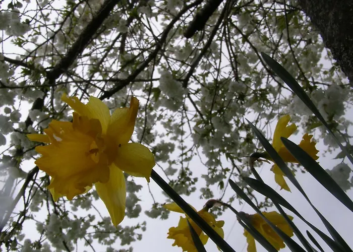 Bed & Breakfast Killurin