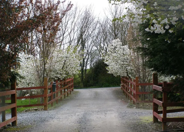 Bed & Breakfast Killurin Ballyvolane